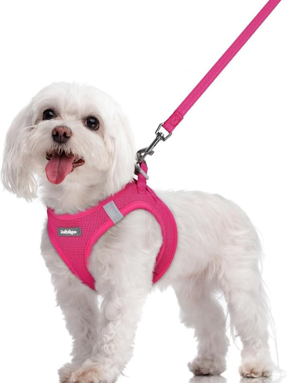 Soft Mesh Dog Harness & Leash Set for Small Dogs, Step-In Design, Reflective